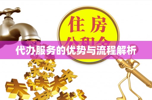 黎川代办服务的优势与流程解析