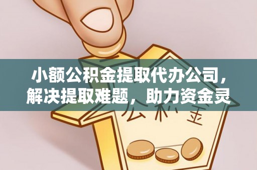 黎川小额公积金提取代办公司，解决提取难题，助力资金灵活使用