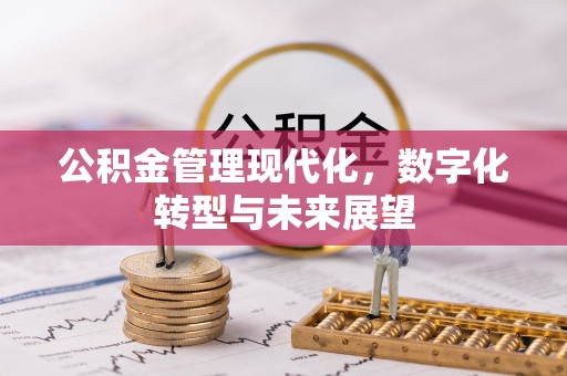 黎川公积金管理现代化，数字化转型与未来展望