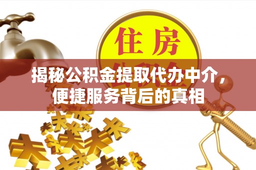 黎川揭秘公积金提取代办中介，便捷服务背后的真相