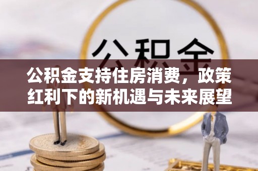 黎川公积金支持住房消费，政策红利下的新机遇与未来展望