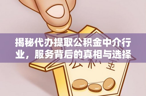 黎川揭秘代办提取公积金中介行业，服务背后的真相与选择指南