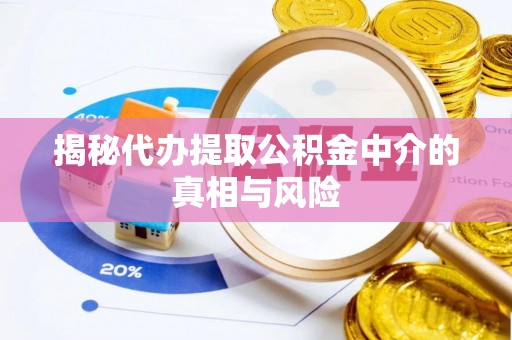 黎川揭秘代办提取公积金中介的真相与风险