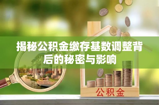黎川揭秘公积金缴存基数调整背后的秘密与影响
