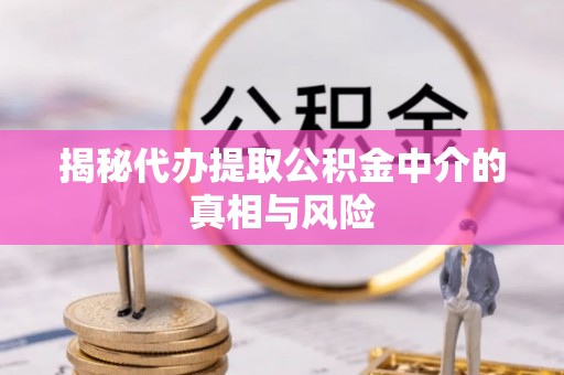 黎川揭秘代办提取公积金中介的真相与风险