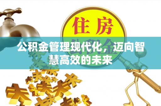 黎川公积金管理现代化，迈向智慧高效的未来