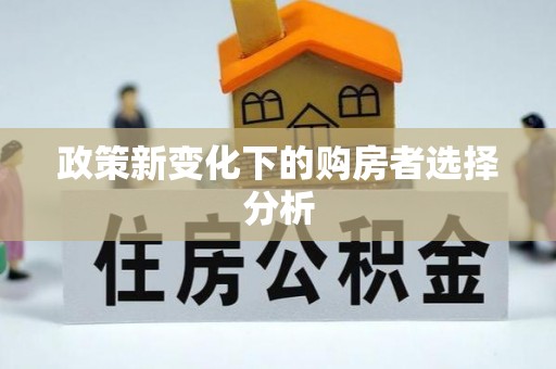 黎川政策新变化下的购房者选择分析