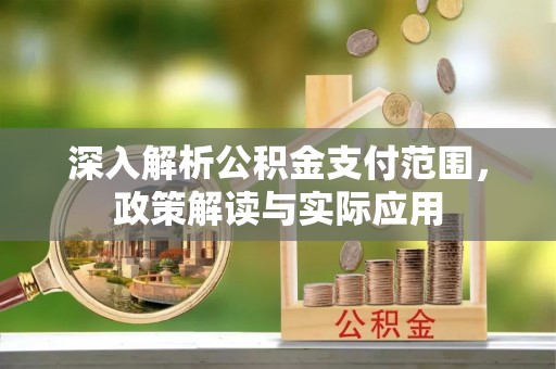 黎川深入解析公积金支付范围，政策解读与实际应用