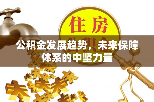 黎川公积金发展趋势，未来保障体系的中坚力量