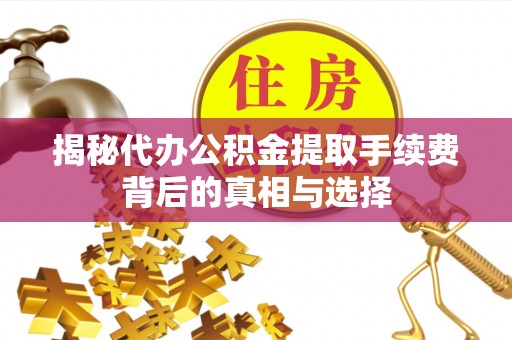 黎川揭秘代办公积金提取手续费背后的真相与选择