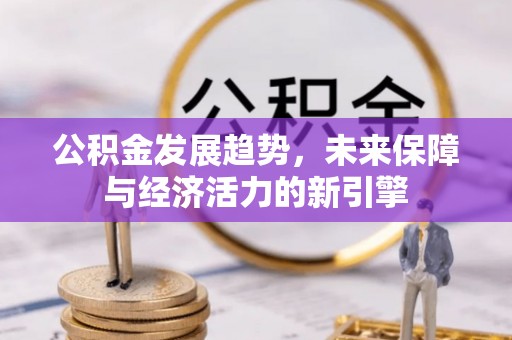 黎川公积金发展趋势，未来保障与经济活力的新引擎