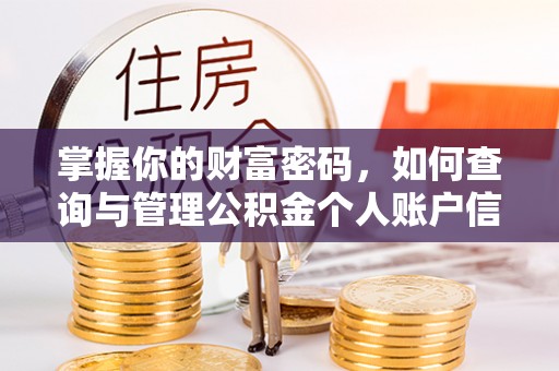 黎川掌握你的财富密码，如何查询与管理公积金个人账户信息