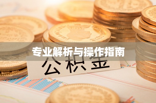 黎川专业解析与操作指南