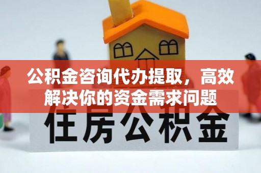 黎川公积金咨询代办提取，高效解决你的资金需求问题