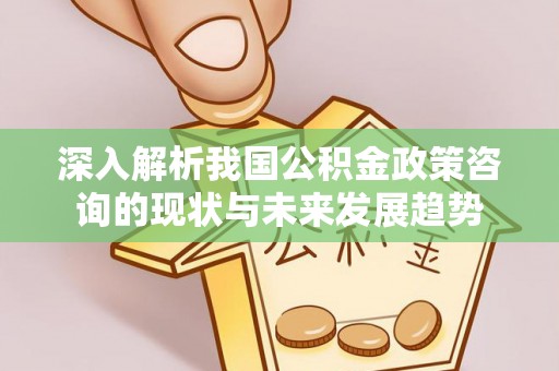 黎川深入解析我国公积金政策咨询的现状与未来发展趋势