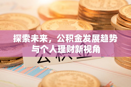 黎川探索未来，公积金发展趋势与个人理财新视角
