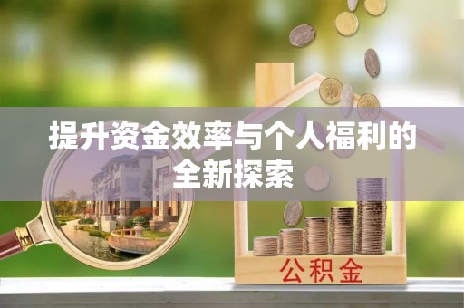 黎川提升资金效率与个人福利的全新探索