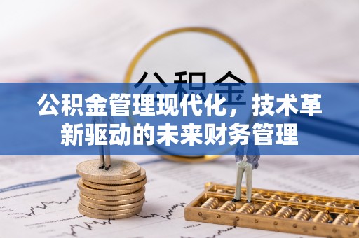 黎川公积金管理现代化，技术革新驱动的未来财务管理