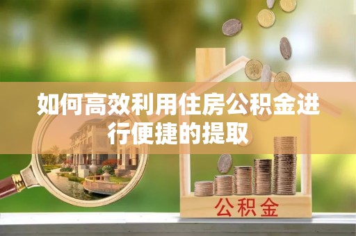 黎川如何高效利用住房公积金进行便捷的提取