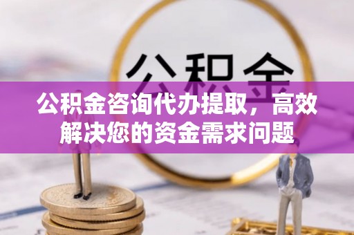 黎川公积金咨询代办提取，高效解决您的资金需求问题