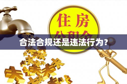 黎川合法合规还是违法行为？