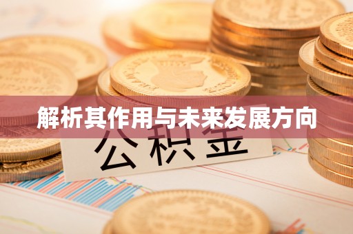 黎川解析其作用与未来发展方向