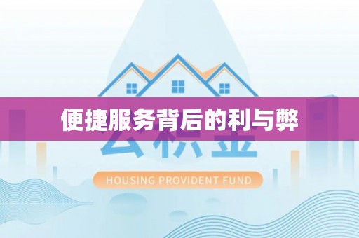 黎川便捷服务背后的利与弊